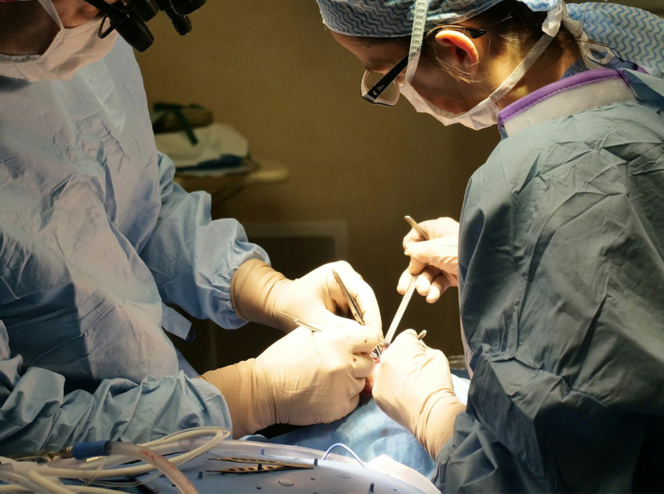 Endoskopi cihazları ve aksesuarları uygulamaları