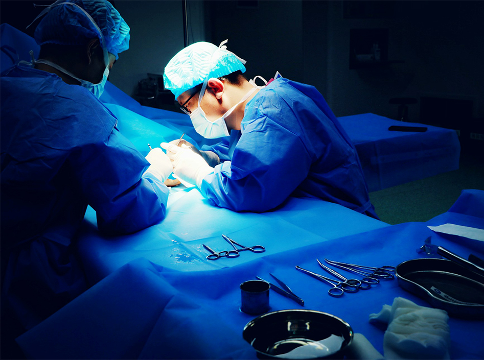 Endoskopi platformunun uygulamaları